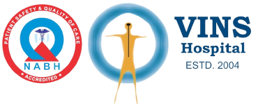 vins-logo-2